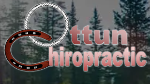 Ottun Chiropractic PC
