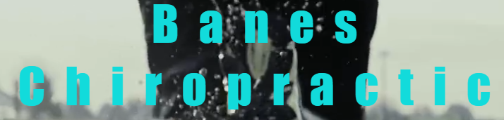 Banes Chiropractic & Rehab