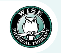 Wise Physical Therapy
