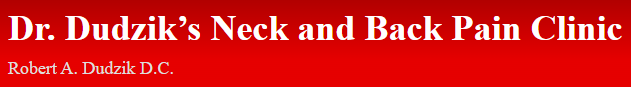 Dudzik Chiropractic