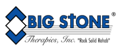 Big Stone Therapies