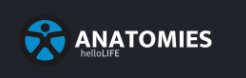 Anatomies
