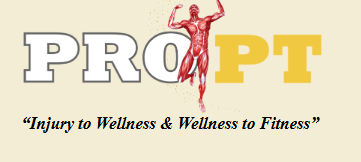 Pro PT