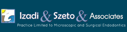 Izadi & Szeto Endodontics