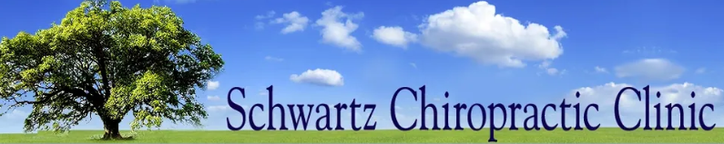 Schwartz Chiropractic Clinic