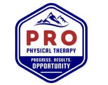 Pro Pt