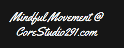 Core Studio 291