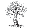 Roots Chiropractic