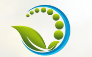Life Source Chiropractic