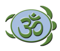 Mindful Turtle Yoga & Wellness